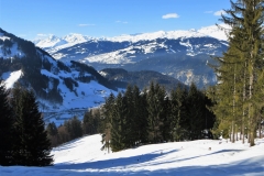 IMG_2474 (Copy)2