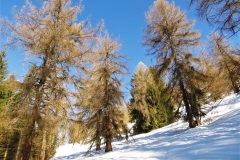 IMG_2475 (Copy)2