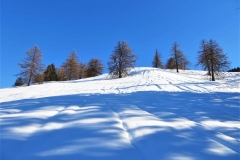 IMG_2476 (Copy)2