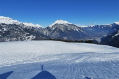 IMG_2482 (Copy)2
