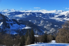 IMG_2485 (Copy)2