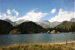 Photo0021