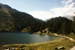 Photo0025